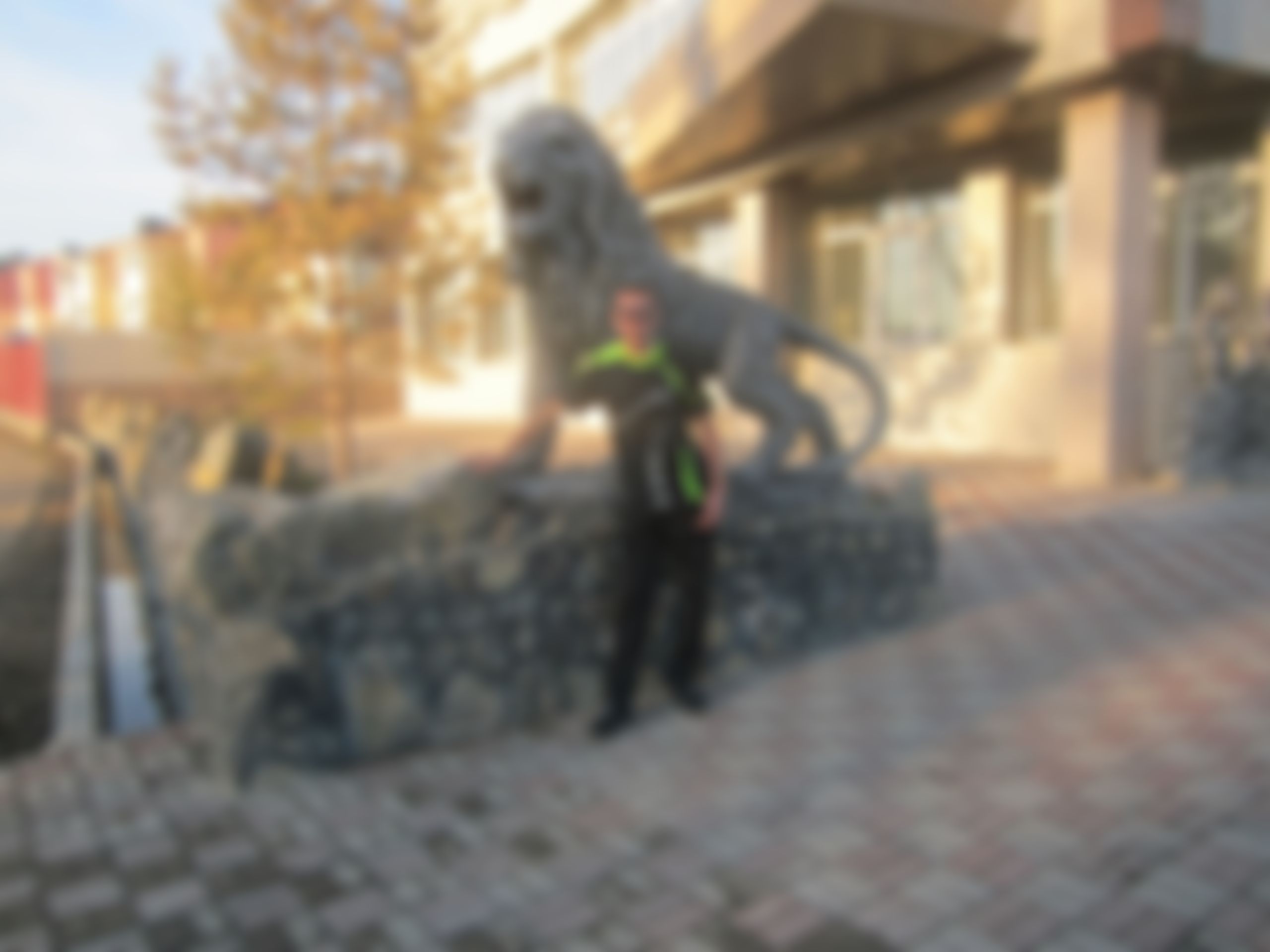 Фотография