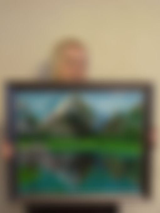 Фотография