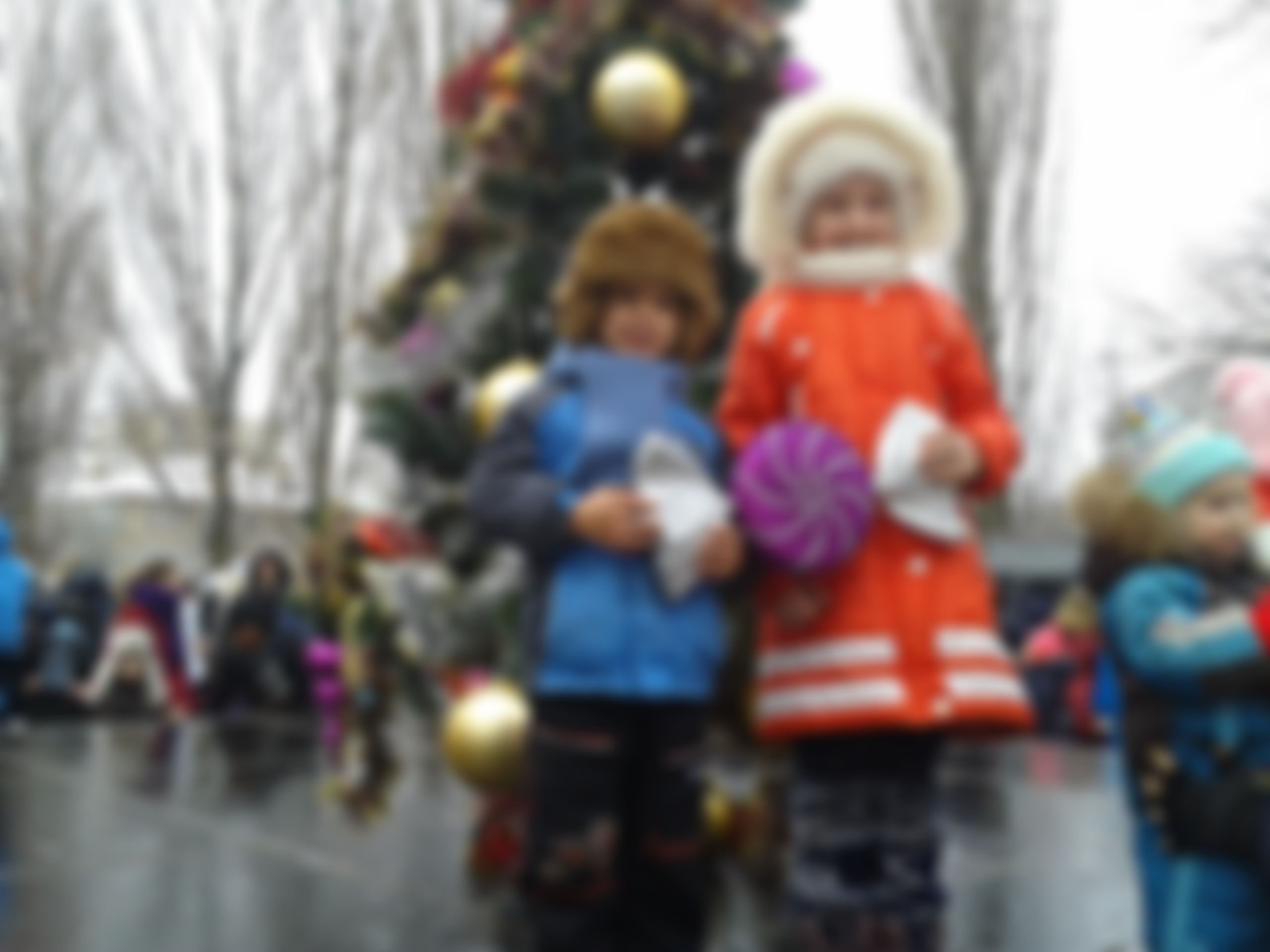 Фотография