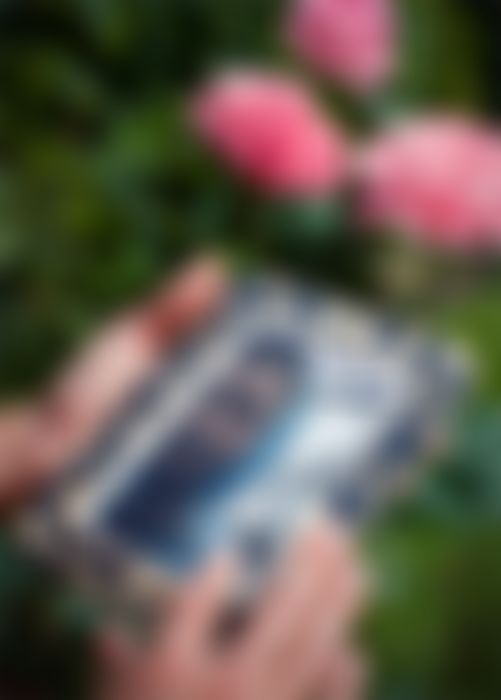 Фотография
