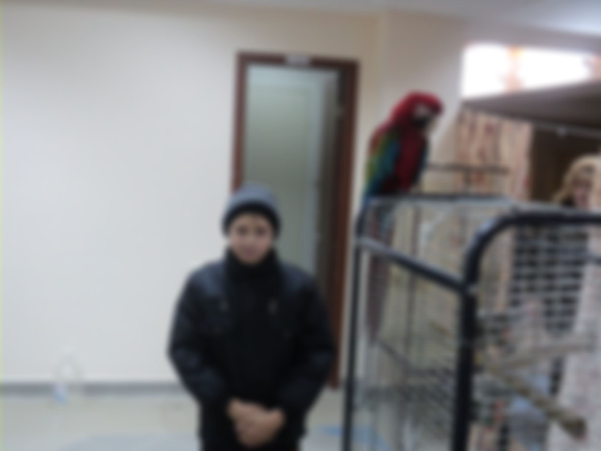 Фотография
