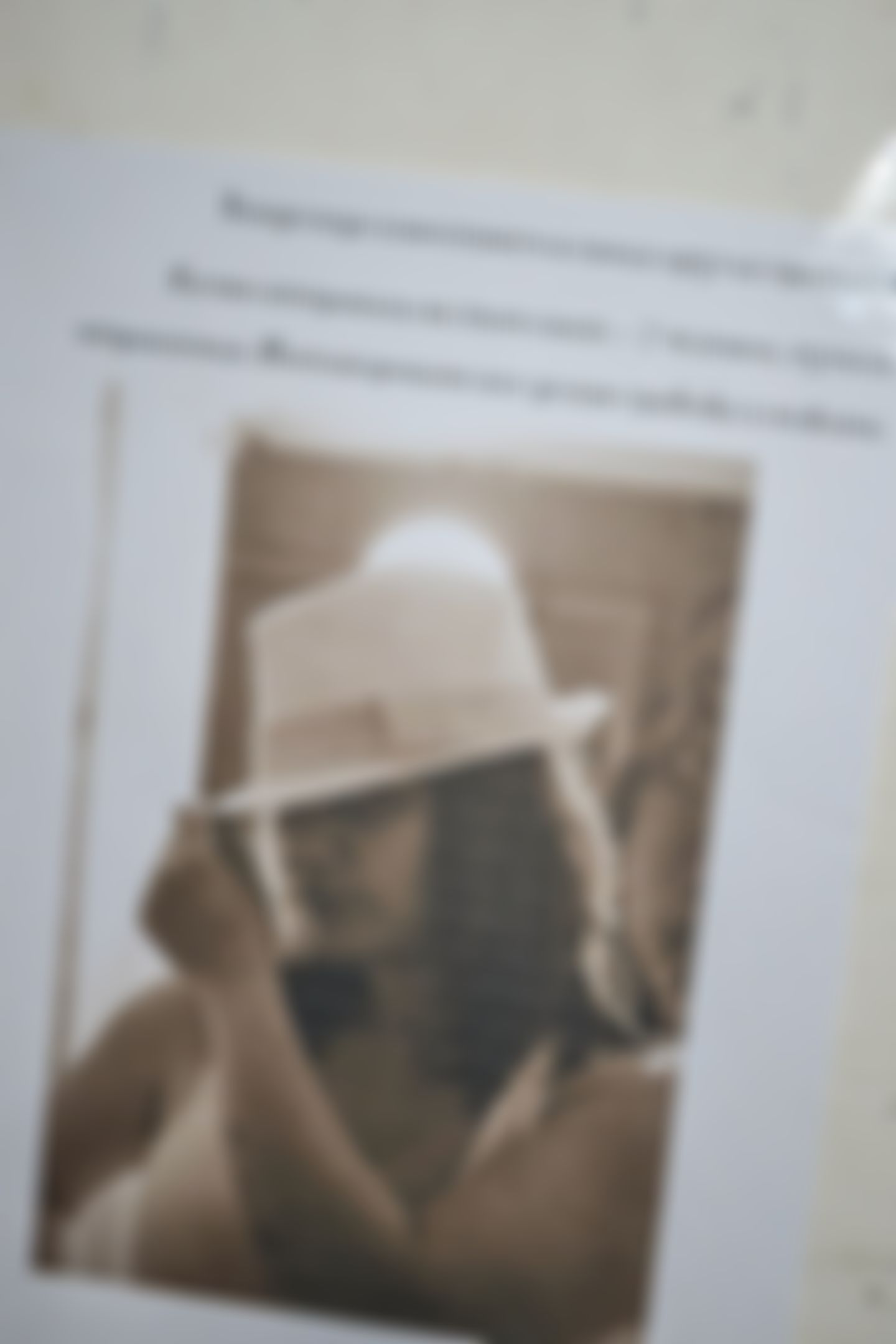 Фотография