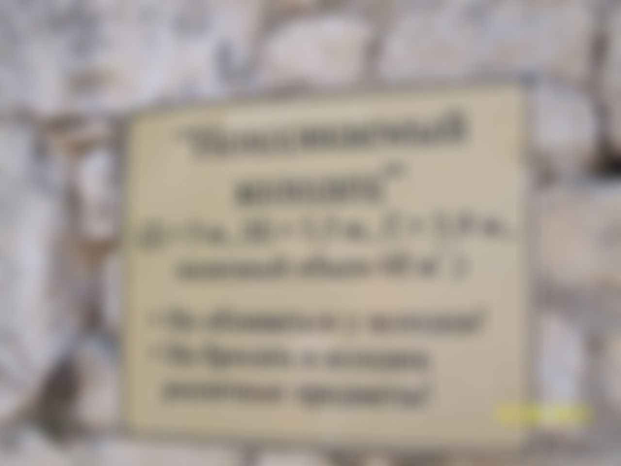 Фотография