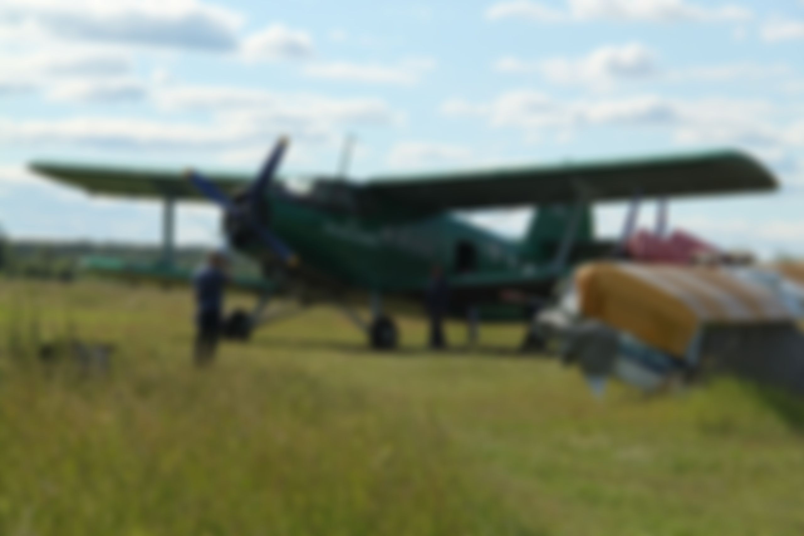 Фотография