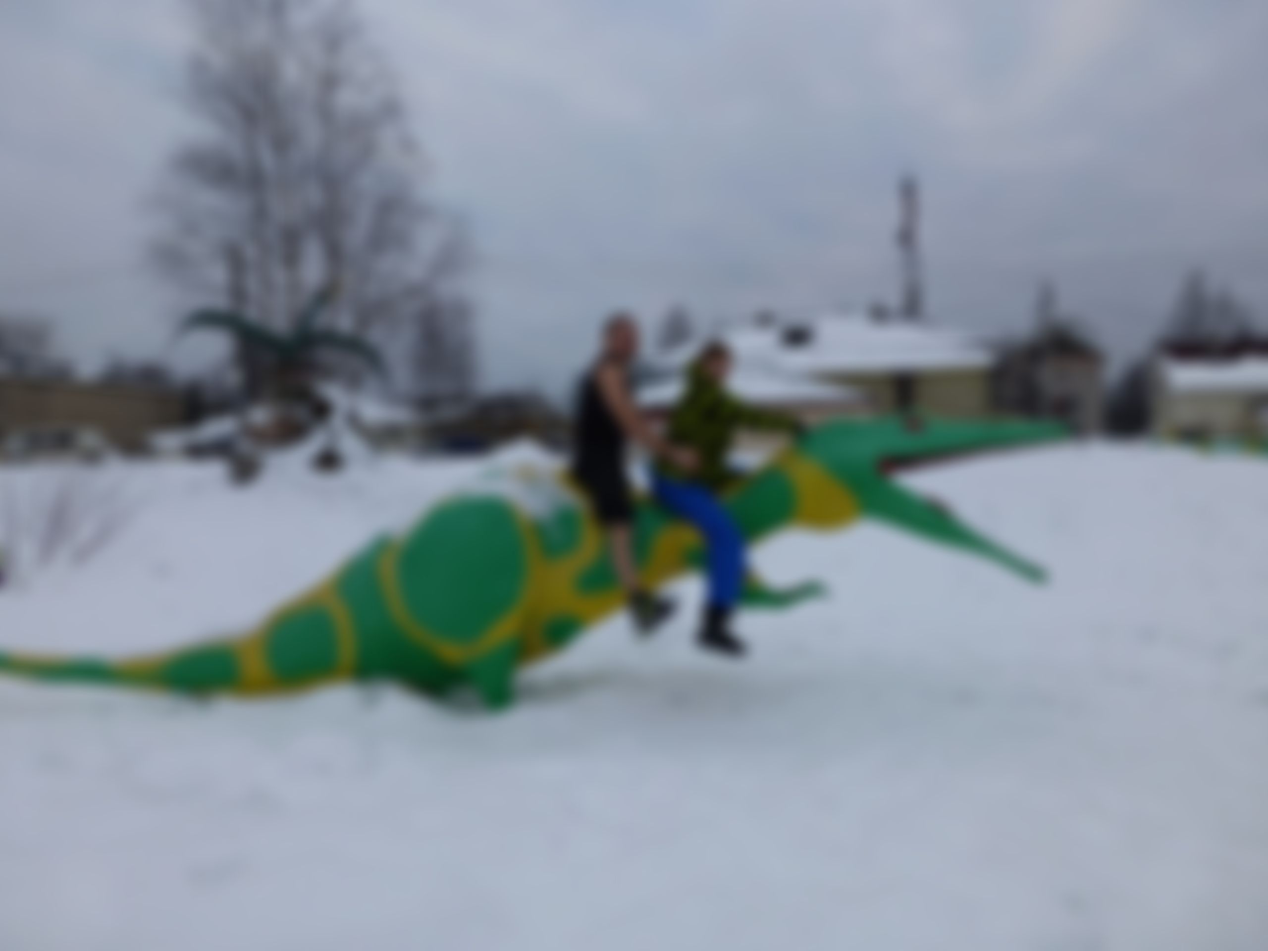 Фотография