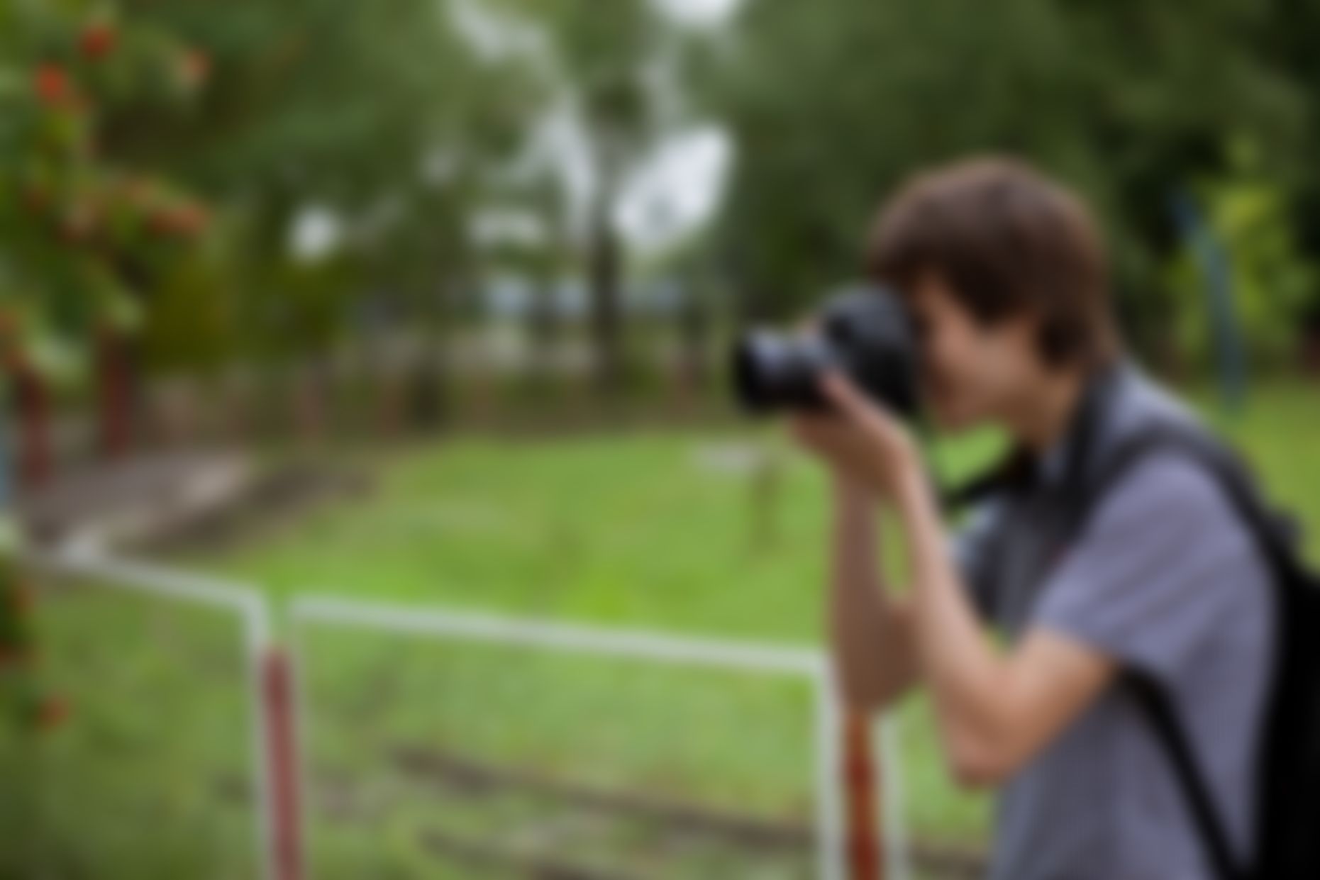 Фотография