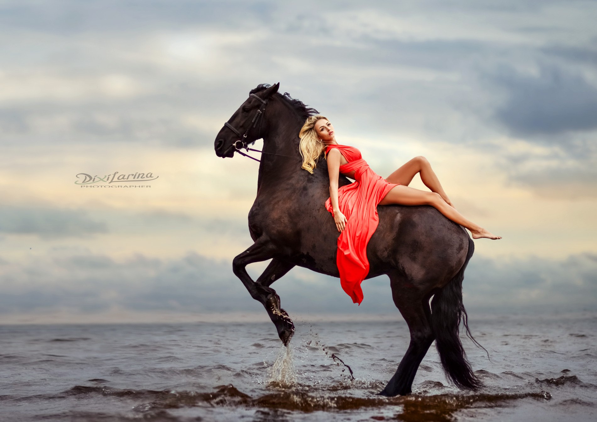 Фотография