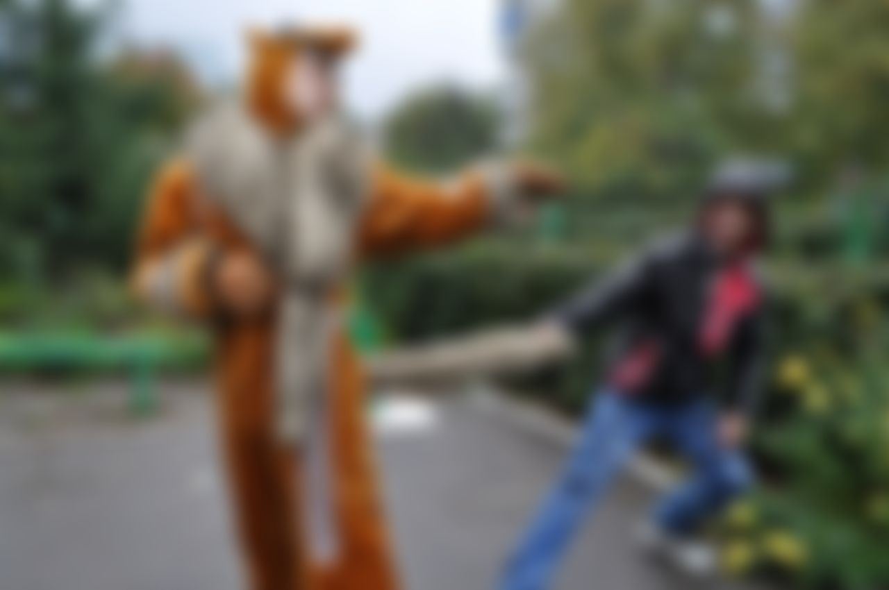 Фотография