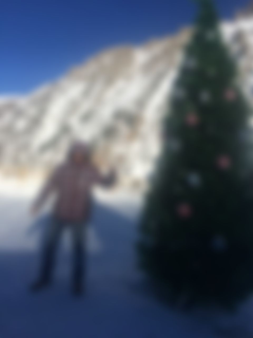 Фотография